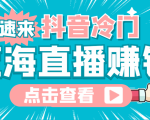 最新抖音冷门简单的蓝海直播赚钱玩法，流量大知道的人少，可做到全无人直播-沐风资源库