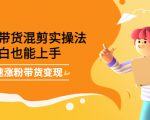 最新抖音冷门简单的蓝海直播赚钱玩法，流量大知道的人少，可做到全无人直播-沐风资源库