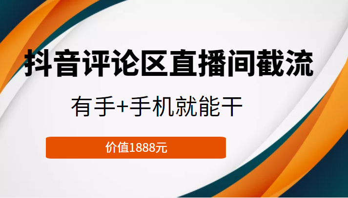 抖音评论区直播间截流，有手+手机就能干，门槛极低，模式可大量复制（价值1888元）-沐风资源库