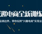 兴趣电商全新训练营：打破品销边界，带你玩转“兴趣电商“实现业务增长-沐风资源库