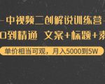 中视频二创解说训练营：从0到精通 文案+标题+素材、月入5000到5W-沐风资源库