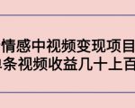 副业孵化营第5期：抖音情感中视频变现项目孵化 单条视频收益几十上百-沐风资源库