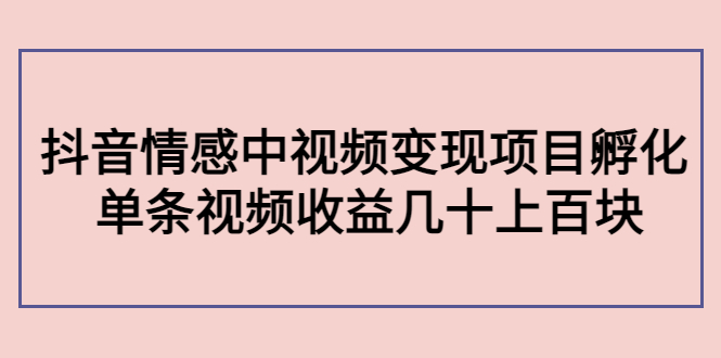 副业孵化营第5期：抖音情感中视频变现项目孵化 单条视频收益几十上百-沐风资源库