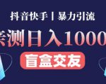 日收益1000+的交友盲盒副业丨有手就行的抖音快手暴力引流-沐风资源库