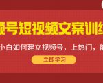 视频号短视频文案训练营：0基础小白如何建立视频号，上热门，能卖货！-沐风资源库
