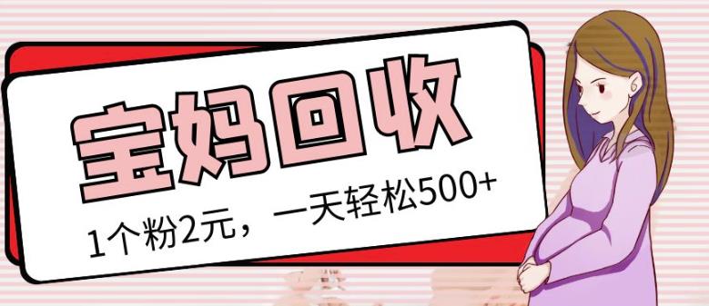 最新小红书母婴号宝妈粉回收项目，1个粉2元，一天轻松500+案例分享【粉丝包回收】-沐风资源库