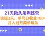 21天微头条训练营，实操3天，单号日收益100+月入过万简单玩法-沐风资源库