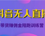 抖音无人直播带货赚佣金陪跑训练营（价值6980元）-沐风资源库