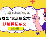 点石成金“卖点炼金术”一句话打动用户购买，快速激活成交！-沐风资源库