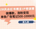 28天小红书博主IP特训营《第9期》做爆款，涨粉变现 单条广告笔记500-10000-沐风资源库