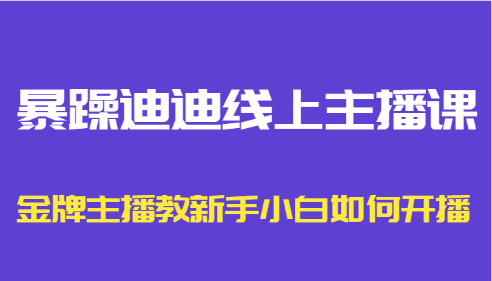 暴躁迪迪线上主播课，金牌主播教新手小白如何开播-沐风资源库