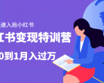 小红书变现特训营：带你快速入局小红书，从0到1月入过万-沐风资源库