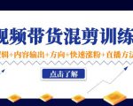 短视频带货混剪训练营：底层逻辑+内容输出+方向+快速涨粉+直播方法-沐风资源库