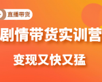 《剧情带货实训营》目前最好的直播带货方式，变起现来是又快又猛（价值980元）-沐风资源库