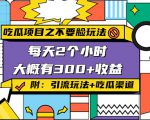 吃瓜项目之不要脸玩法，每天2小时，收益300+(附 快手美女号引流+吃瓜渠道)-沐风资源库