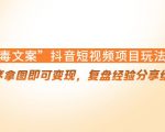 “毒文案”抖音短视频项目玩法，小程序拿图即可变现，复盘经验分享给大家-沐风资源库