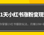 21天小红书涨粉变现营（第4期）：带你掌握小红书爆款玩法，月赚10W+秘密-沐风资源库