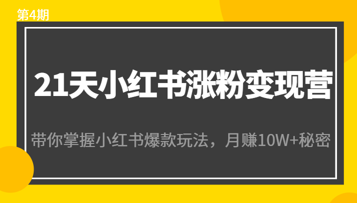 21天小红书涨粉变现营（第4期）：带你掌握小红书爆款玩法，月赚10W+秘密-沐风资源库