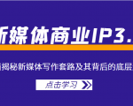 新媒体商业IP3.0，全面揭秘新媒体写作套路及其背后的底层逻辑（价值1299元）-沐风资源库