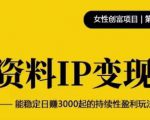 资料IP变现，能稳定日赚3000起的持续性盈利玩法-沐风资源库