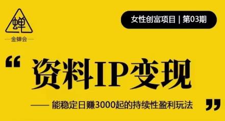 资料IP变现，能稳定日赚3000起的持续性盈利玩法-沐风资源库
