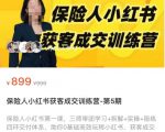 保险人小红书获客成交训练营，0基础高效玩转小红书，可复制的获客成交之路-沐风资源库