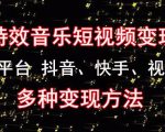 黄岛主《粒子特效音乐短视频变现项目》主攻平台抖音、快手、视频号多种变现方法-沐风资源库