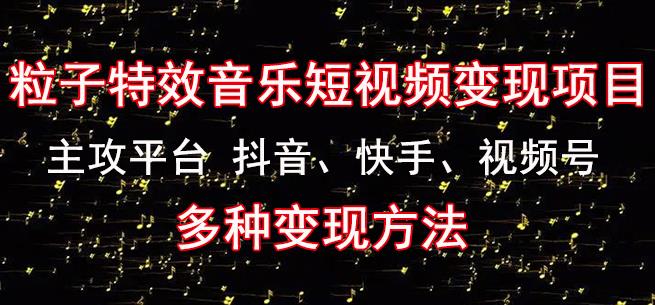 黄岛主《粒子特效音乐短视频变现项目》主攻平台抖音、快手、视频号多种变现方法-沐风资源库