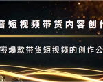 抖音短视频带货内容创作班，解密爆款带货短视频的创作公式-沐风资源库