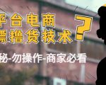 外面收费2980的全平台电商白嫖撸货技术（仅揭秘勿操作-商家防范必看）-沐风资源库