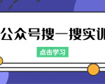 公众号搜一搜实训，收录与恢复收录、 排名优化黑科技，附送工具（价值998元）-沐风资源库