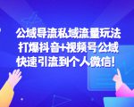 公域导流私域流量玩法：打爆抖音+视频号公域，快速引流到个人微信！-沐风资源库