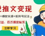 小说推文训练营：引流技巧+爆款实操+矩阵号玩法，百倍效益、百万播放秘笈-沐风资源库