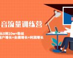 美业抖音流量训练营：从0到10w+粉丝 让你的门店用户增长+业绩增长+利润增长-沐风资源库