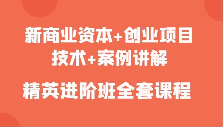 新商业资本+创业项目，技术+案例讲解，精英进阶班全套课程-沐风资源库