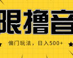 抖音直播无限撸音浪，简单可复制，偏门玩法，日入500+【视频教程】-沐风资源库