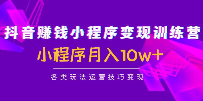 抖音赚钱小程序变现训练营：小程序月入10w+各类玩法运营技巧变现-沐风资源库