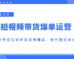 2023短视频带货爆单运营，从账号定位到学会选预爆品，到代理完成出单（价值1250元）-沐风资源库