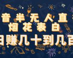抖音半无人直播烟花表白，日赚几十到几百（教程+视频模板素材）-沐风资源库
