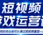短视频游戏赚钱特训营，0门槛小白也可以操作，日入1000+-沐风资源库