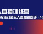 无人直播训练营：手把手教您打造无人直播操盘手（16节课时）-沐风资源库