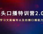 镜头口播特训营2.0版，学习文案编导以及拍摄口播能力（50节课时）-沐风资源库