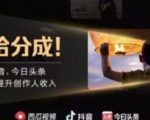 2022年最新中视频变现最稳最长期的项目，一个账号月入几万很简单-沐风资源库