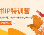 小红书IP特训营：从搭建-制作-爆款脚本等等，做一个赚钱的小红书号-沐风资源库