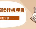 全自动阅读挂机项目，号称单窗10r，全套脚本+教程，小白上手简单-沐风资源库