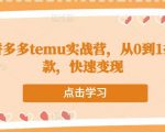 跨境拼多多temu实战营，从0到1打造爆款，快速变现-沐风资源库