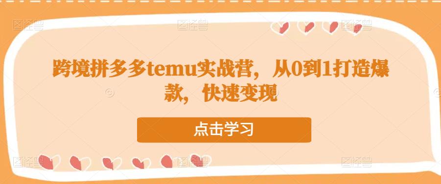 跨境拼多多temu实战营,从0到1打造爆款,快速变现-沐风资源库
