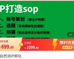 瑶瑶·自然流IP孵化，系统掌握IP孵化全流程，也能学到选题，剪辑，账号运营经验-沐风资源库