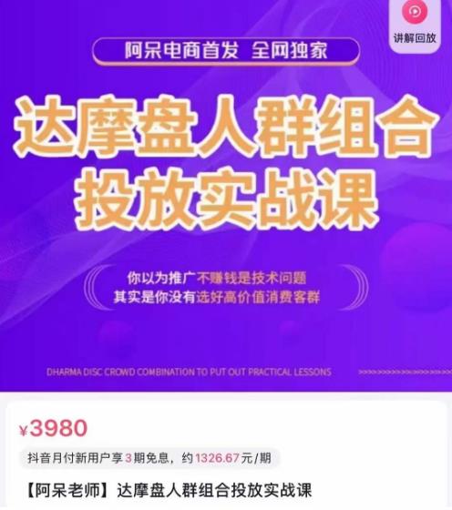 阿呆电商·达摩盘人群组合投放实战课，你以为推广不赚钱是技术问题，其实是你没有选好高价值消费客群-沐风资源库
