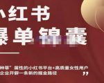 小红书爆单锦囊，自带种草属性+高质量女性用户，为你的企业开辟一条新的掘金路径-沐风资源库
